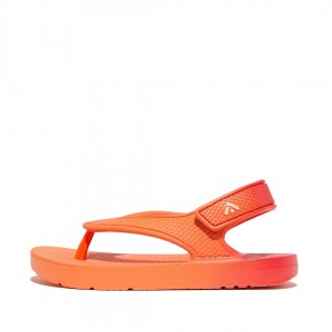 Infradito Fitflop Iqushion Eva Bambino Rosse | IT-17925YDHE