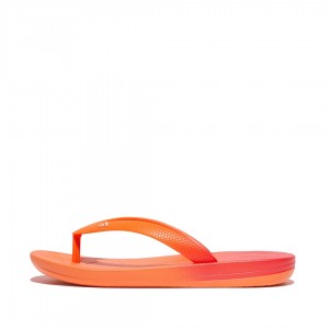 Infradito Fitflop Iqushion Rubber Bambino Rosse | IT-35814GUZI